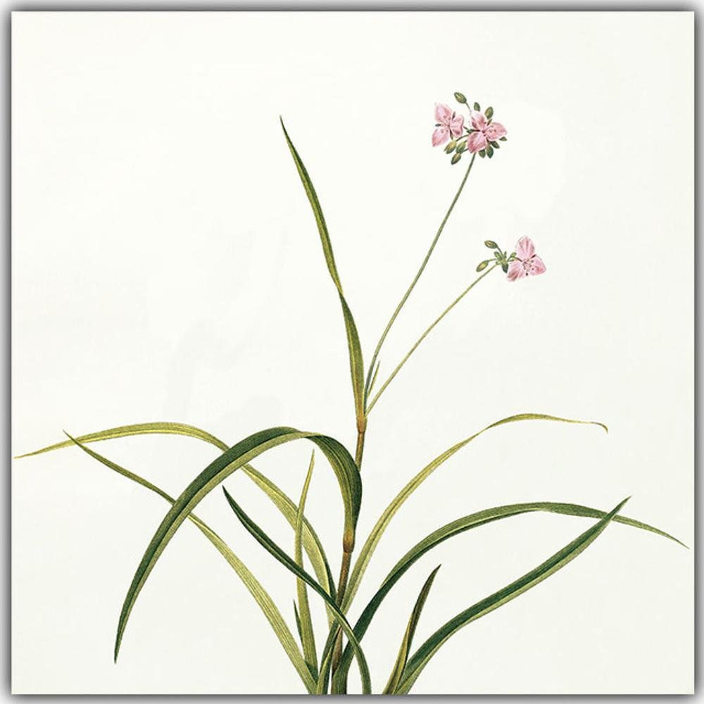 1000x1000 Mkkm Wall Stickers Modern Minimalist Flower Painting