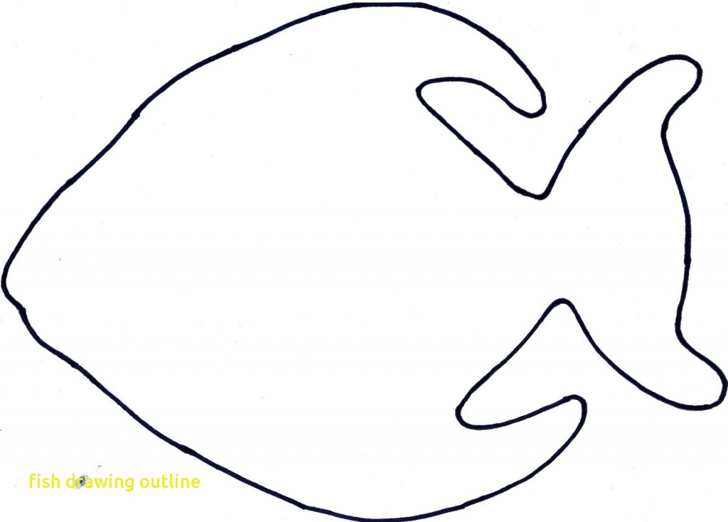 1024x735 Fish Drawing Outline Free Download Clip Art