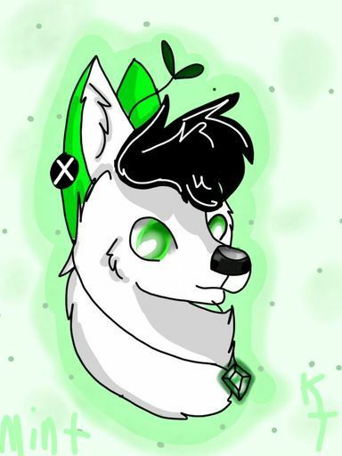 384x512 Shoutout To Kaidentail For This Amazing Fanart!!! Httpaminoapps