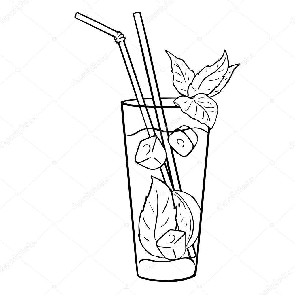 Mint Leaf Drawing