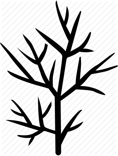 389x512 Herbs Drawing Free Download On Unixtitan