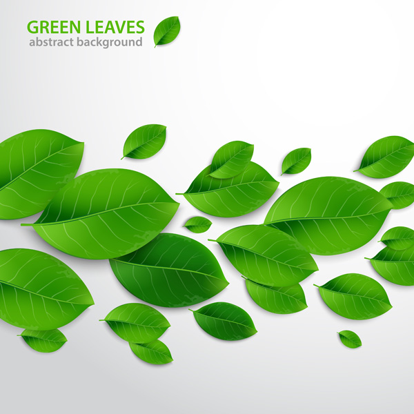 600x600 How To Create Realistic Vector Leaves In Illustrator