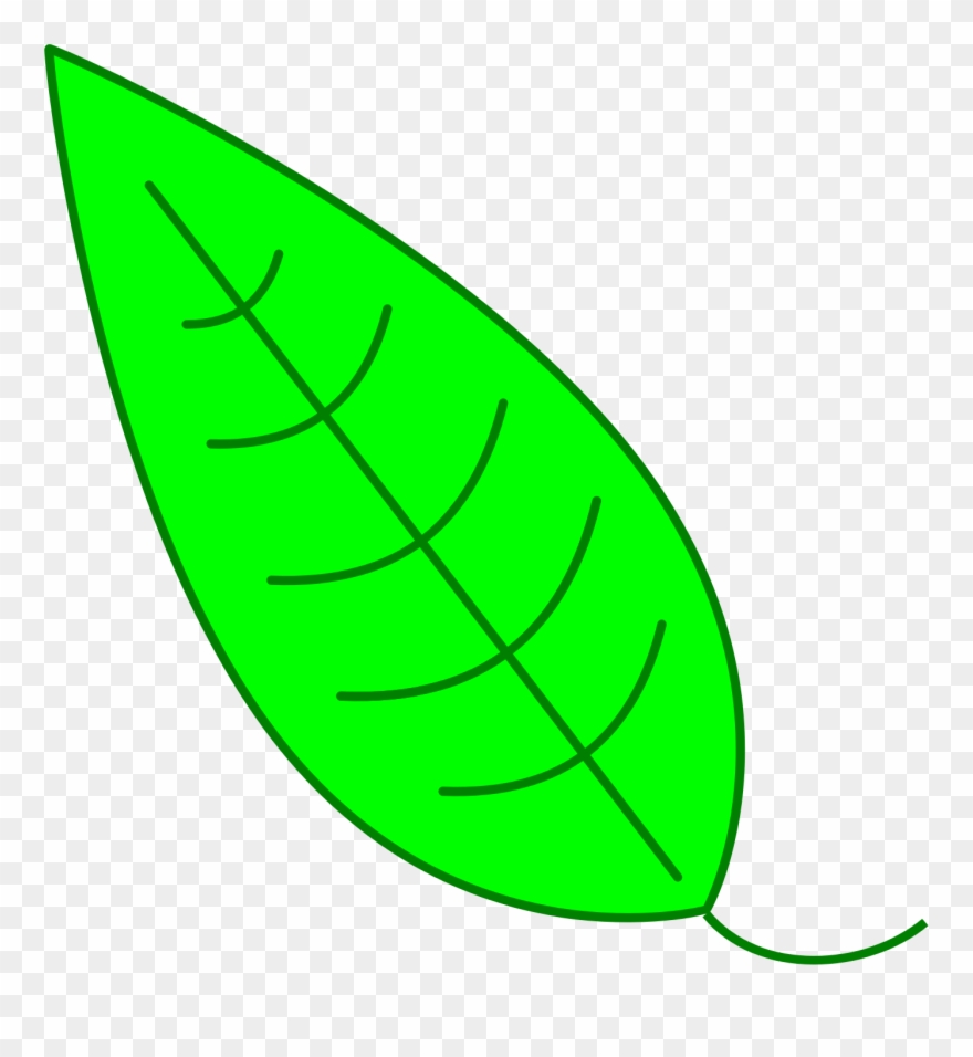 880x956 Leaf Clipart Icon