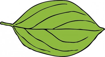 366x200 Free Leaves Clip Art