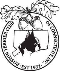 207x236 minuteman boston terrier club boston terrier club of connecticut