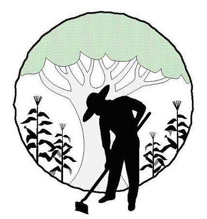 427x453 go green dance party to benefit sustainable harvest international