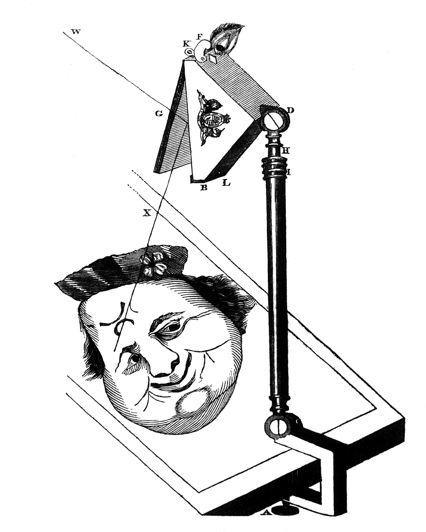 878x1097 a closer look neolucida