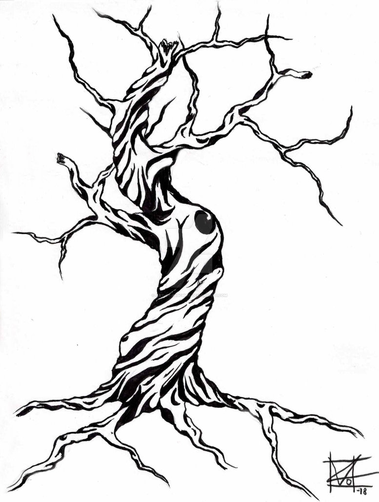 777x1029 Striped Tree