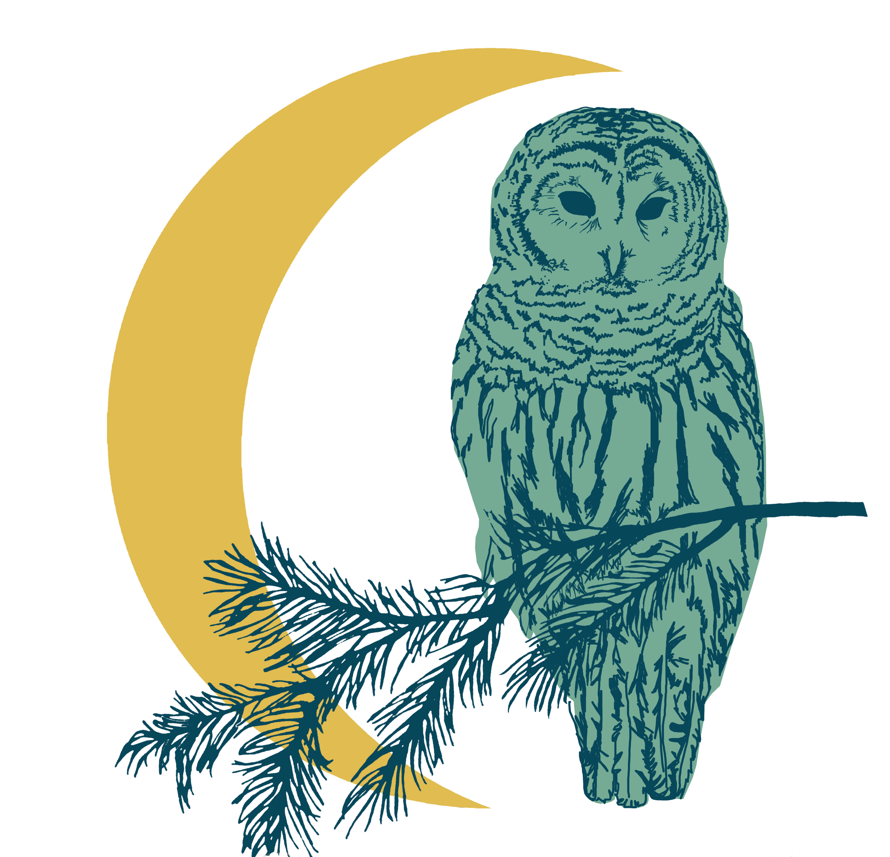 3363x3238 Bonnyvale Environmental Education Center Mission