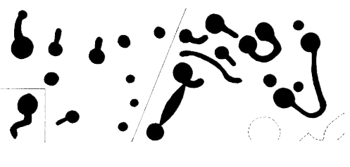 497x238 Bushberg Meissner Rock Art