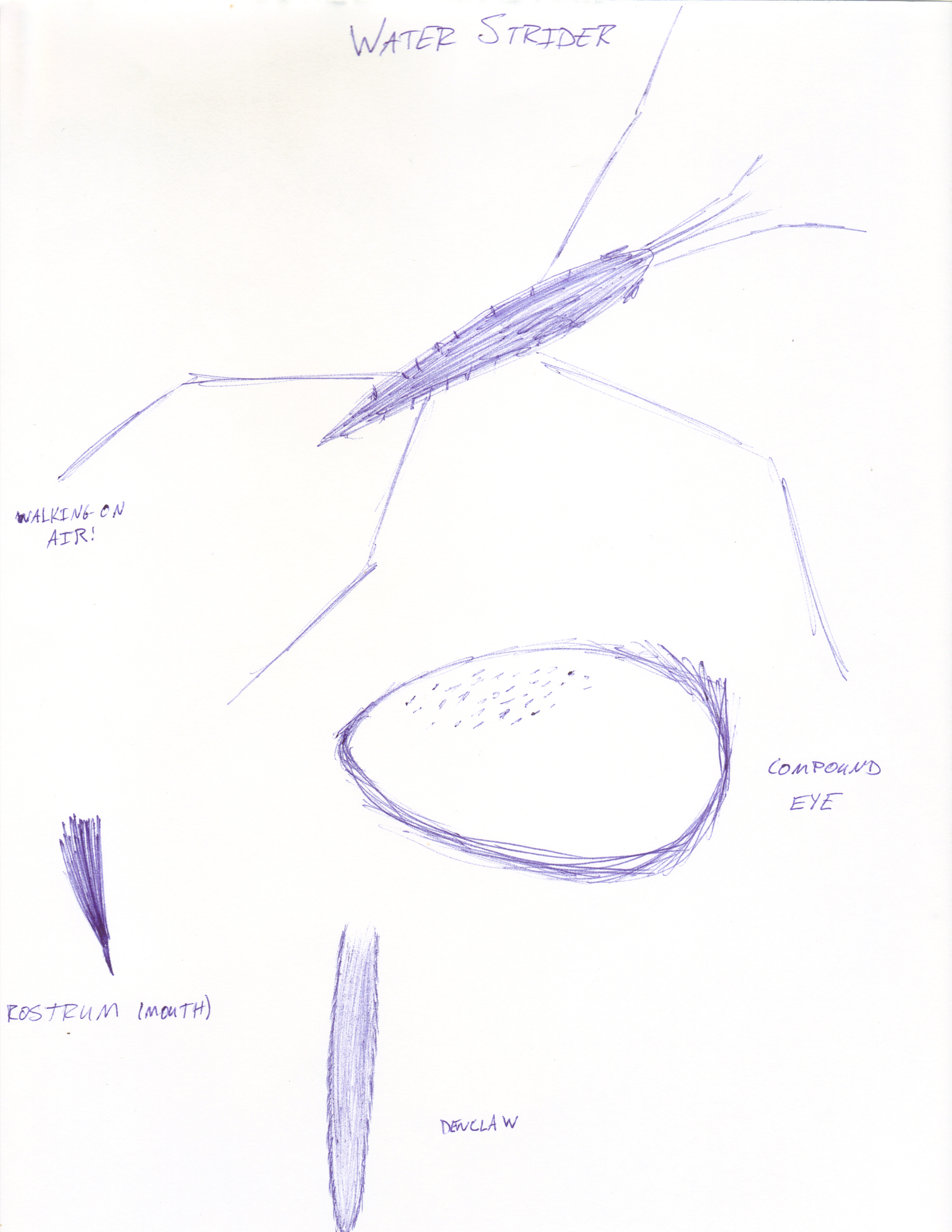 2550x3300 Mississippi Draw Community And Awareness Public Art Project