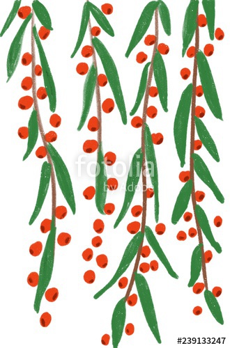 330x500 Cute Red Mistletoe Vine With Red Fruit