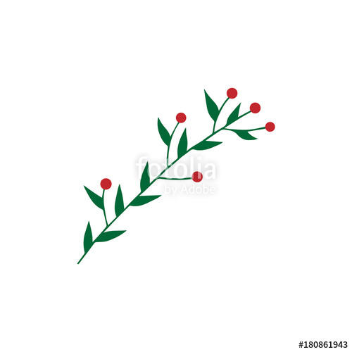 500x500 Hand Drawn Christmas Mistletoe Branch, Vector Illustration Drawing