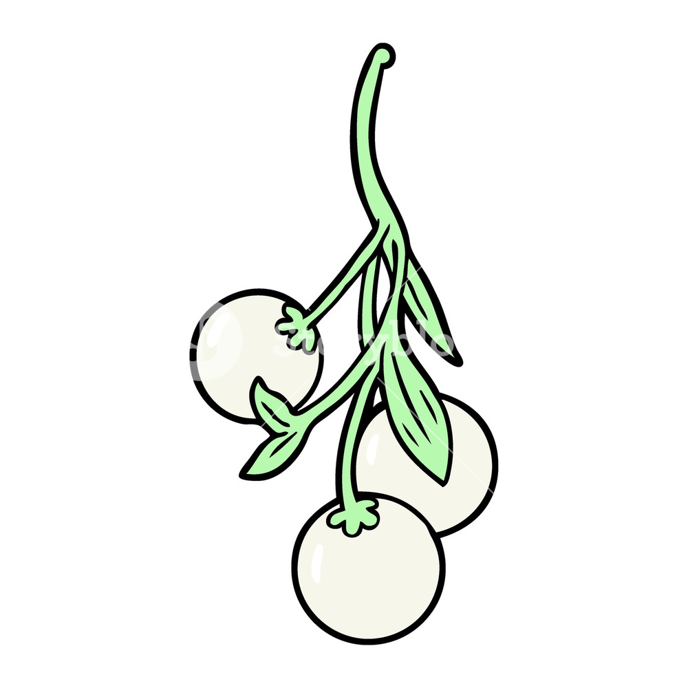 1000x1000 Cartoon Mistletoe Royalty Free Stock Image