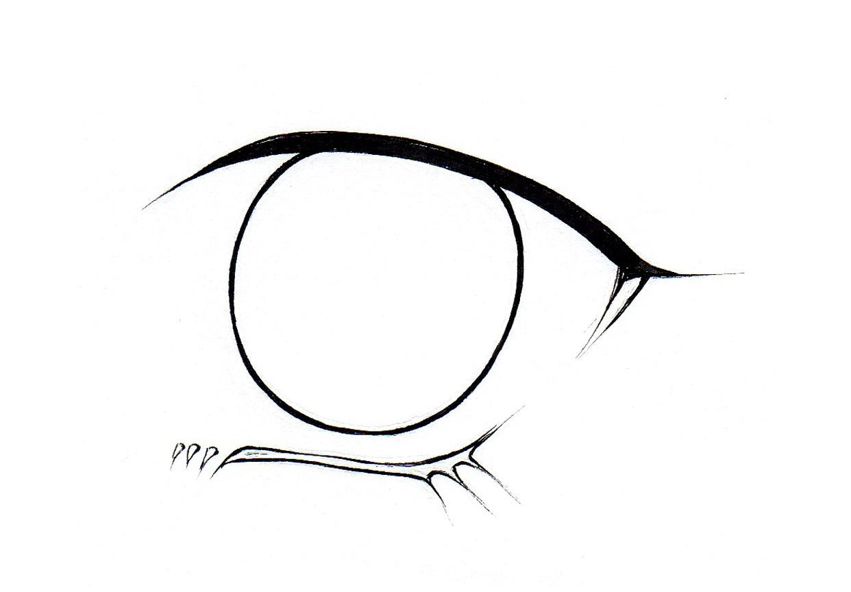 1242x864 How To Draw Female Eyes