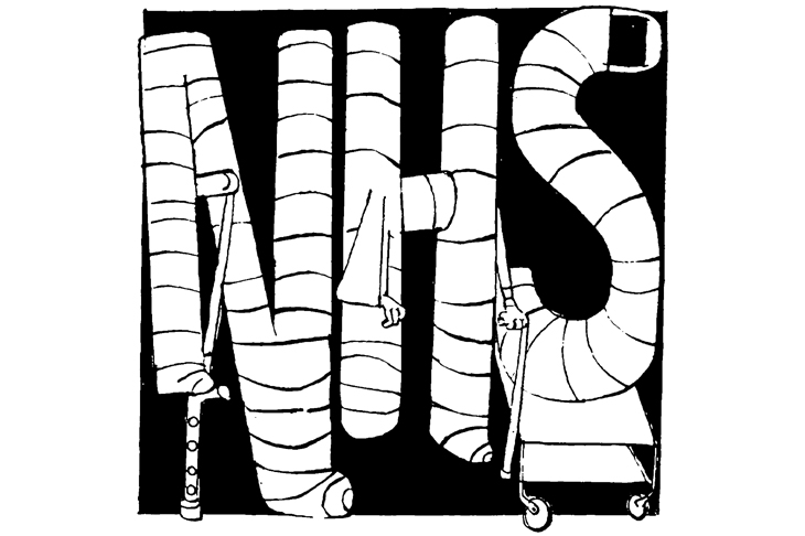 730x486 The Nhs's Internal Market Is An Expensive Catastrophe The Spectator