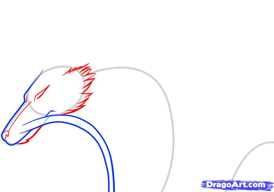 891x623 Draw Haku, Spirited Away, Haku, Step