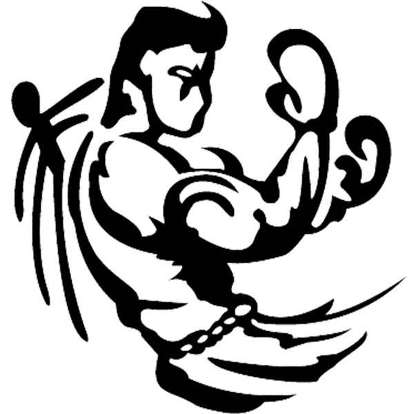 600x600 mma and boxing promotion specialist