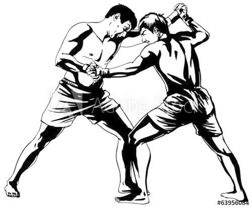 500x414 Mixed Martial Arts