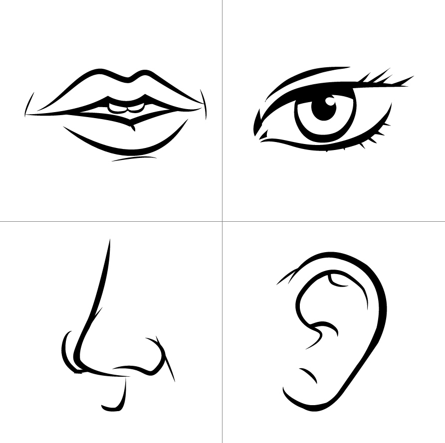 892x889 Moana Drawing