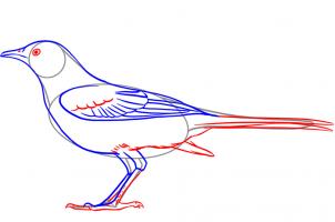 302x200 Draw A Mockingbird, Step