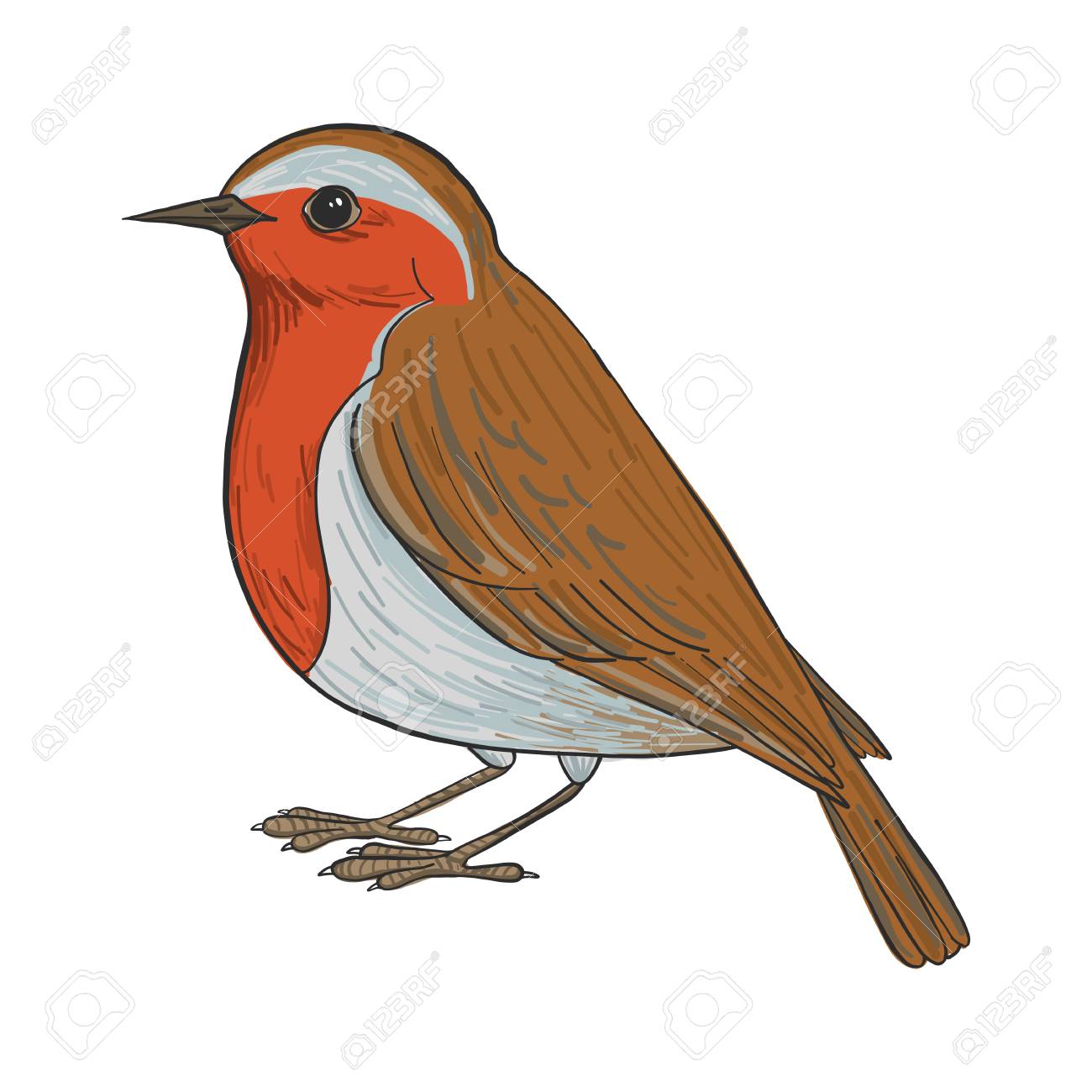 1300x1300 Mockingbird Clipart Robin