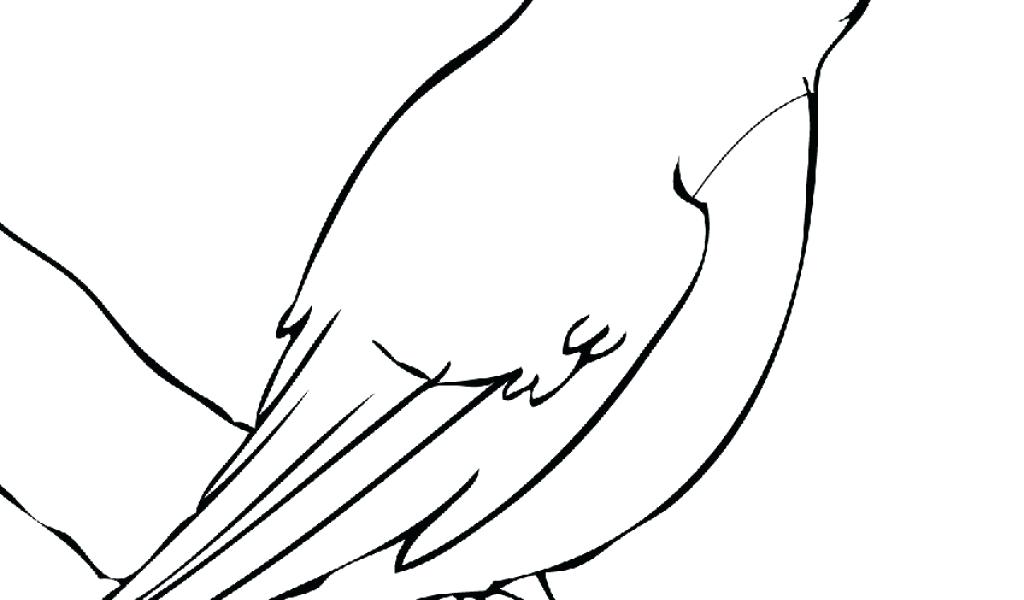 1024x600 Mockingbird Coloring