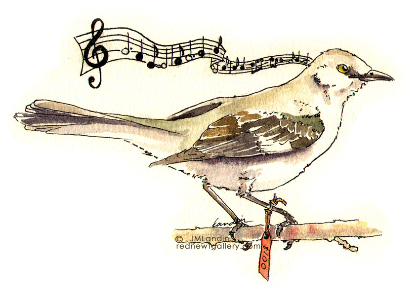 850x608 Timeless Ditties About Birds A Wing And A Way