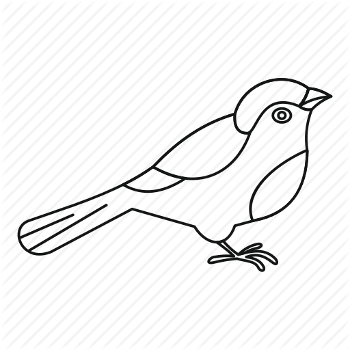 512x512 Collection Of Free Mockingbird Drawing Outline Download On Ui Ex