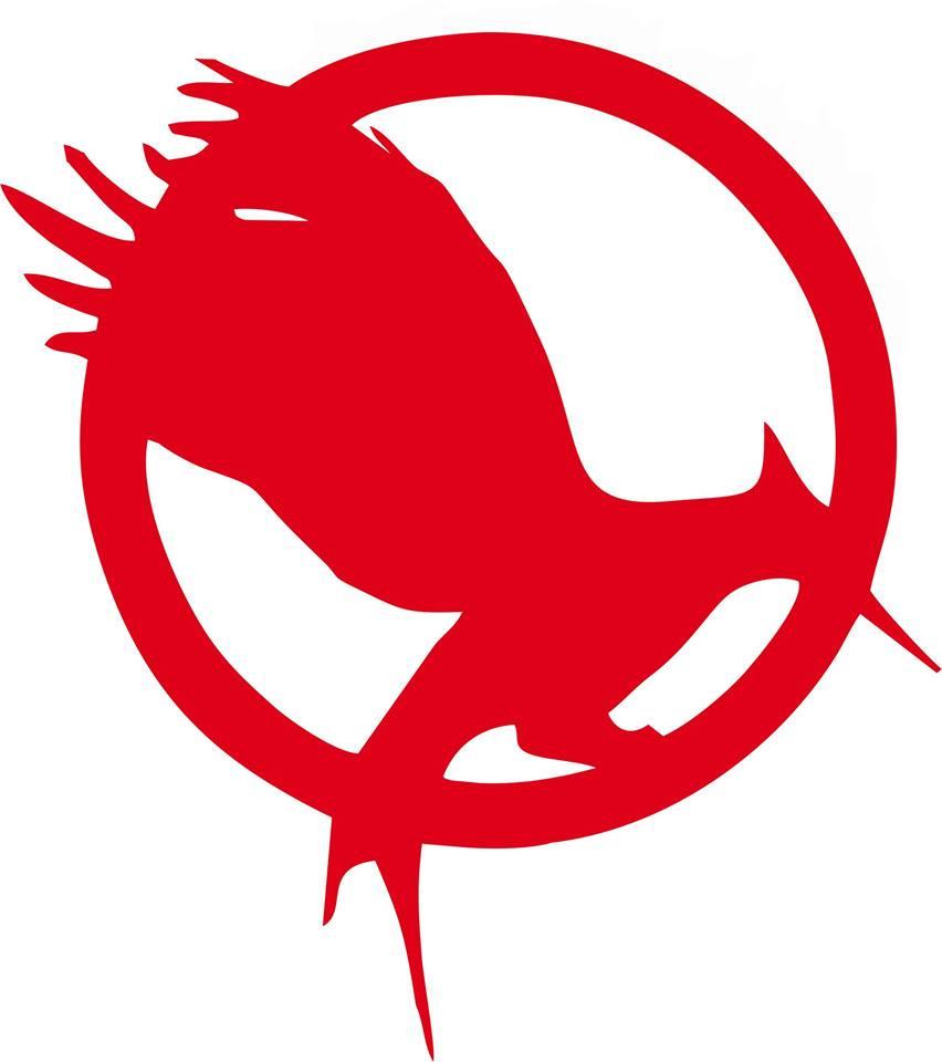 852x960 Hunger Games Catching Fire Logo