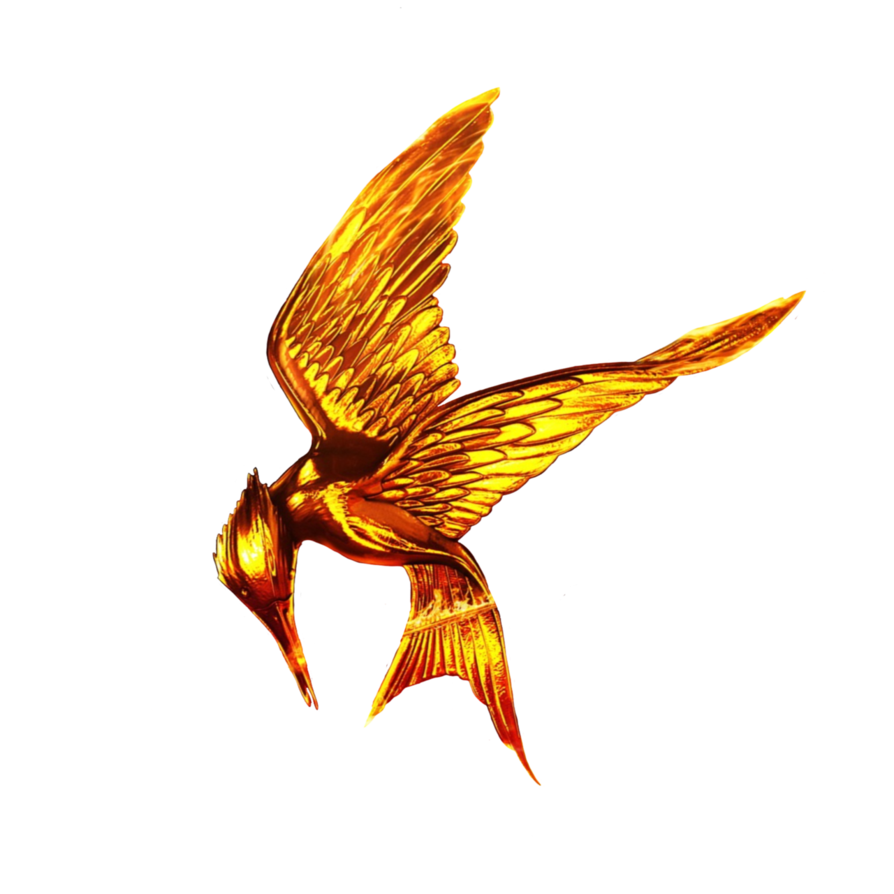 894x894 korra drawing the hunger games transparent png clipart free