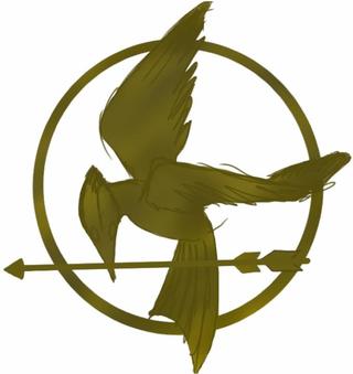 320x339 Liked Drawings