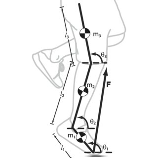 320x320 Schematic Of Our Sagittal Plane Three Link Rigid Body Model