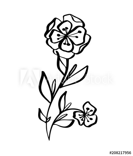 429x500 Hand Drawn Modern Flowers Drawing And Sketch Floral With Line Art