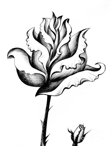 457x600 Modern Flower Drawings