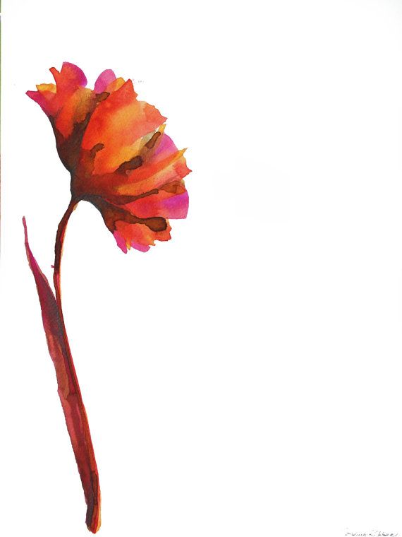 570x760 Original Flower Drawing On Paper