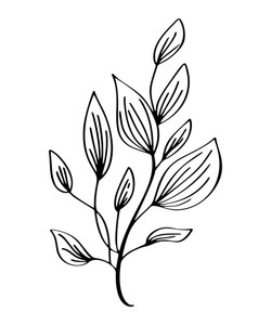 250x300 Floral Line Drawing Royalty Free Vectors