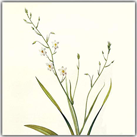 466x466 Mkkm Wall Stickers Modern Minimalist Flower Painting