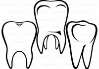 200x140 Molar Clip Art