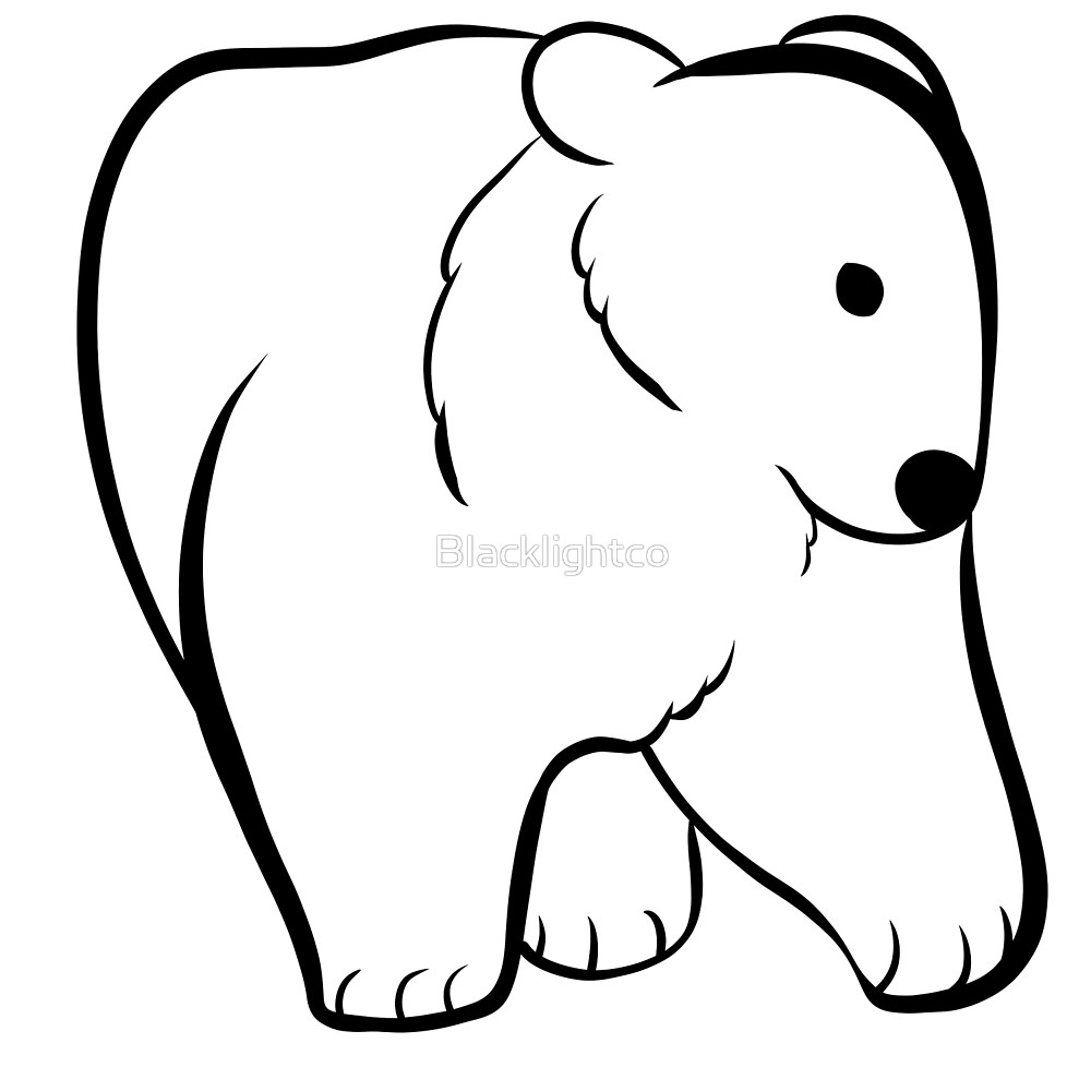 1000x1000 Molar Bear