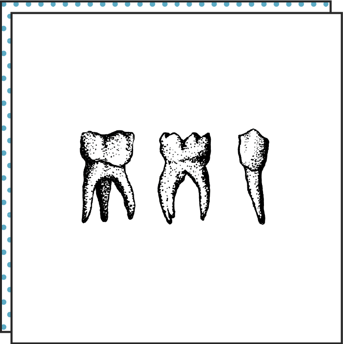 703x704 Tattoonie Dents Tattoonie Temporary Tattoos