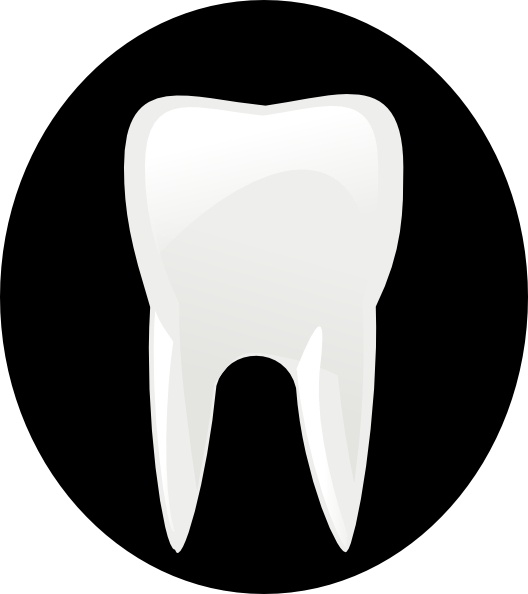 528x594 Tooth Molar Clip Art Free Vector In Open Office Drawing