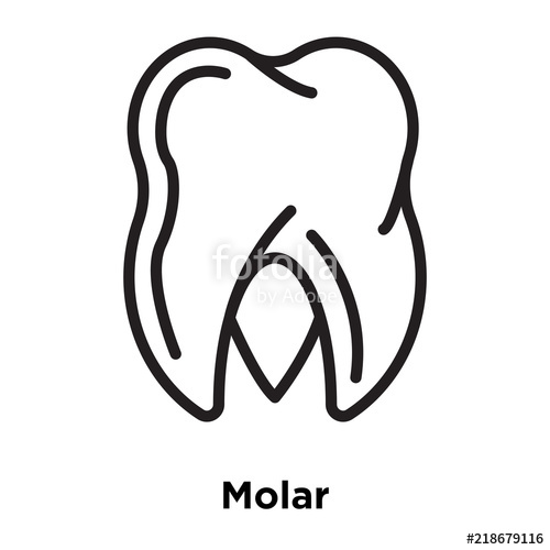 500x500 Molar Icons Isolated On White Background Modern And Editable