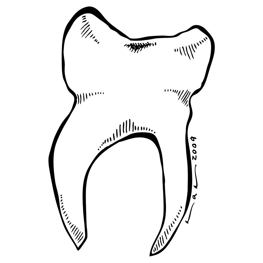 900x900 Drawn Teeth Molar