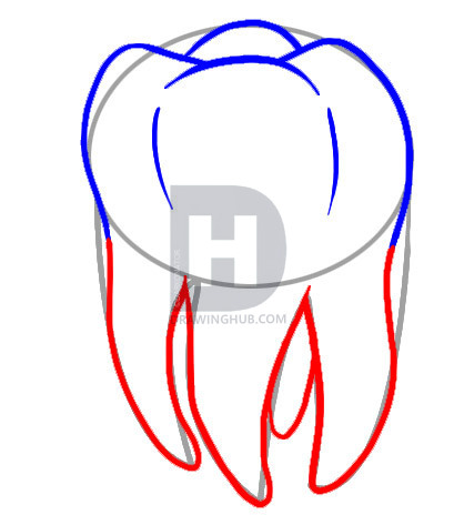 418x473 How To Draw A Tooth, Step