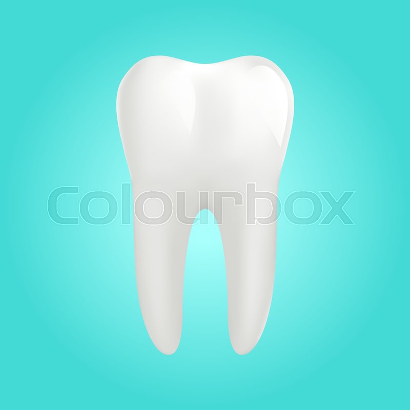 800x800 White Molar Tooth Poster Template Stock Vector Colourbox