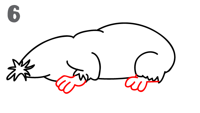 642x362 How To Draw A Mole