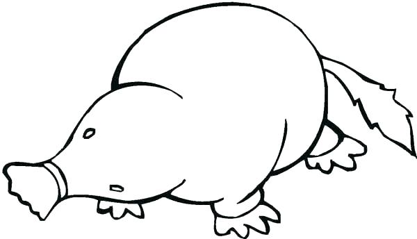 600x344 Mole Coloring