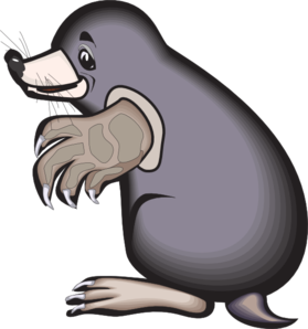 279x298 Collection Of Free Mole Drawing Clip Art Download On Ui Ex