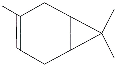 408x230 What Is Carene